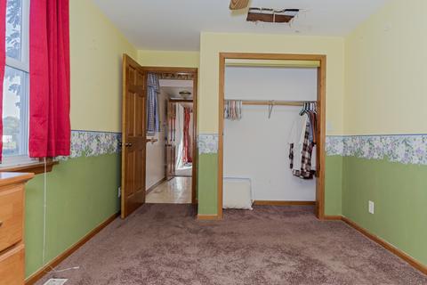 208 N Main St, Dana, IL 61321 photo 15