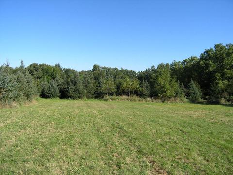 21515 Clark Rd, Morrison, IL 61270 photo 2