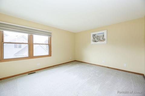 15207 Eyre Cir, Plainfield, IL 60544 photo 24