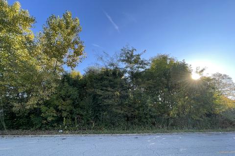 Lot 54 Forest View Drive, Morris, IL 60450