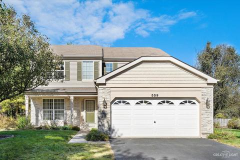 559 Sumac Dr, Aurora, IL 60506 photo 1
