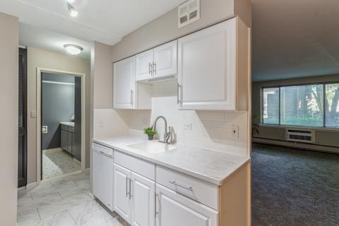 1500 Robin Cir #107, Hoffman Estates, IL 60169 photo 5