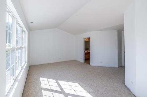 24013 Walnut Cir, Plainfield, IL 60585 photo 18
