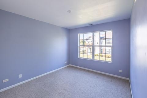 24013 Walnut Cir, Plainfield, IL 60585 photo 23