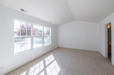 24013 Walnut Cir, Plainfield, IL 60585 photo 16