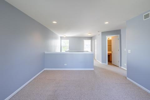 24013 Walnut Cir, Plainfield, IL 60585 photo 30