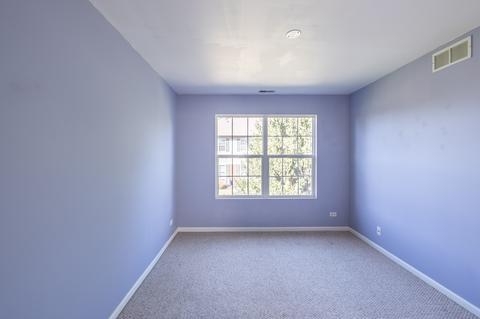 24013 Walnut Cir, Plainfield, IL 60585 photo 24