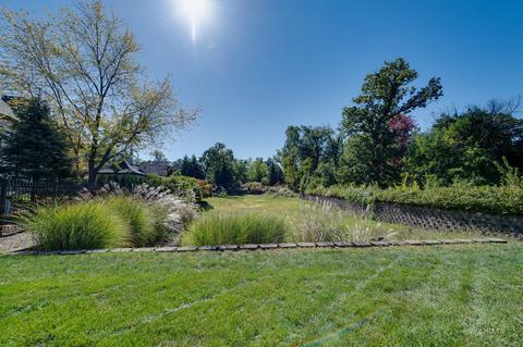 481 E Belmont Ave, Addison, IL 60101 photo 43