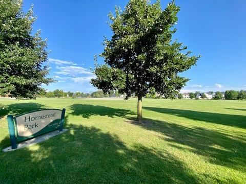 2971 Thunderbird Ct W, Aurora, IL 60503 photo 41