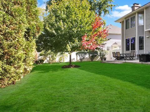 427 Countryside Dr, Wheaton, IL 60187 photo 34