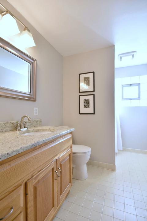 709 S Spring Rd, Elmhurst, IL 60126 photo 22