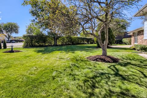 441 Dee Ln, Roselle, IL 60172 photo 39
