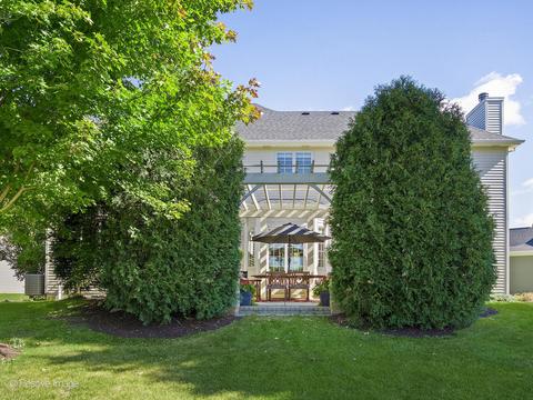 14116 Thornberry Cir, Plainfield, IL 60544 photo 50
