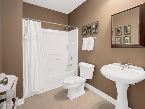14116 Thornberry Cir, Plainfield, IL 60544 photo 45