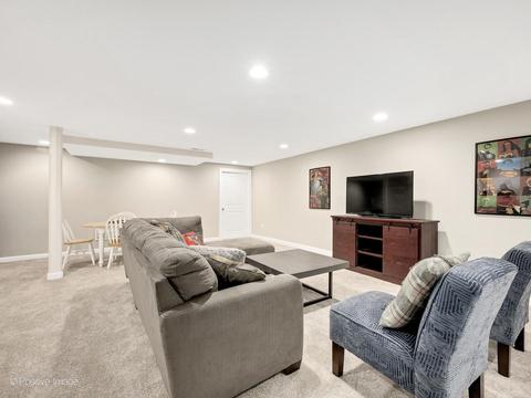 14116 Thornberry Cir, Plainfield, IL 60544 photo 43