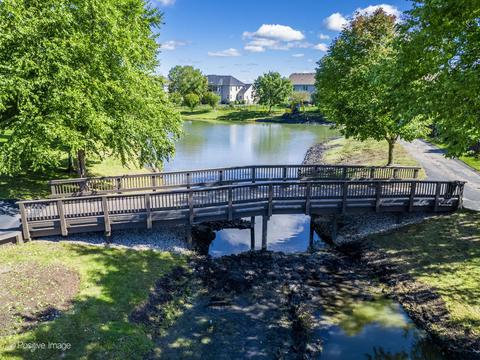 14116 Thornberry Cir, Plainfield, IL 60544 photo 57