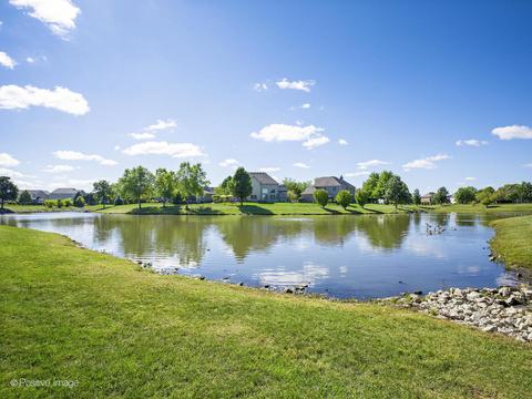 14116 Thornberry Cir, Plainfield, IL 60544 photo 49