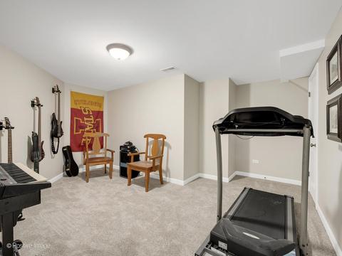 14116 Thornberry Cir, Plainfield, IL 60544 photo 44