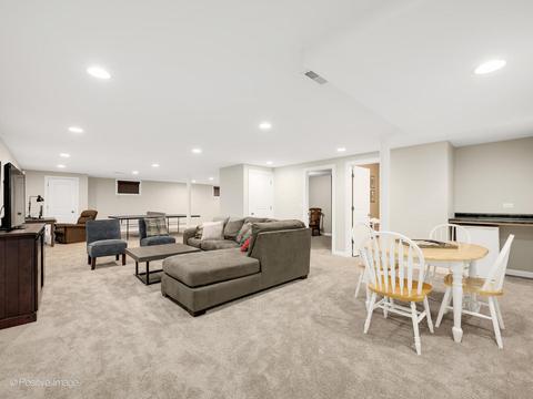 14116 Thornberry Cir, Plainfield, IL 60544 photo 42