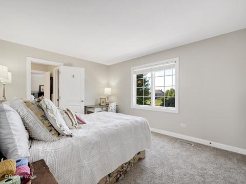14116 Thornberry Cir, Plainfield, IL 60544 photo 40