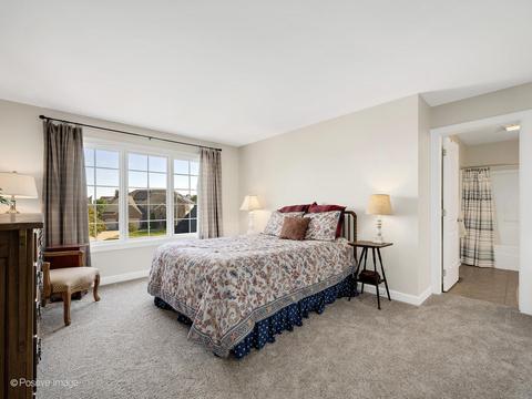 14116 Thornberry Cir, Plainfield, IL 60544 photo 36