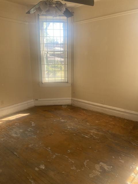 6805 S Champlain Ave, Chicago, IL 60637 photo 5