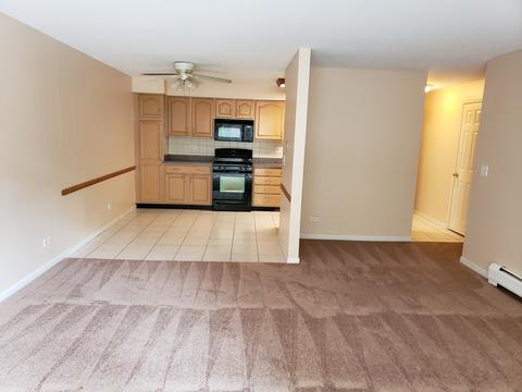 239 Mill Rd #111, Addison, IL 60101 photo 4