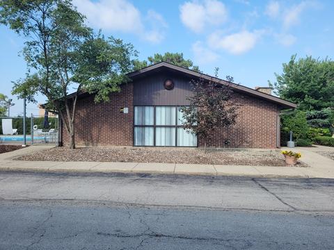 239 Mill Rd #111, Addison, IL 60101 photo 18
