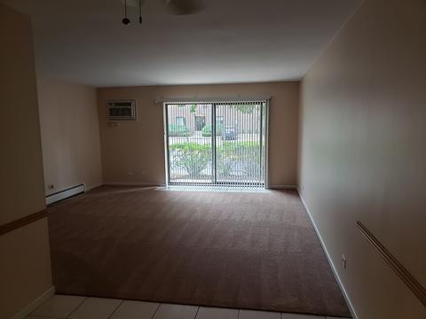 239 Mill Rd #111, Addison, IL 60101 photo 5