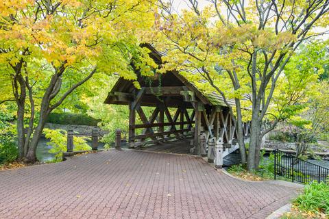 1114 E Chicago Ave, Naperville, IL 60540 photo 21