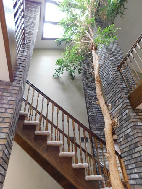 775 N Maple St, Addison, IL 60101 photo 39