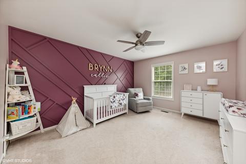 265 Cardiff Dr, Algonquin, IL 60102 photo 23