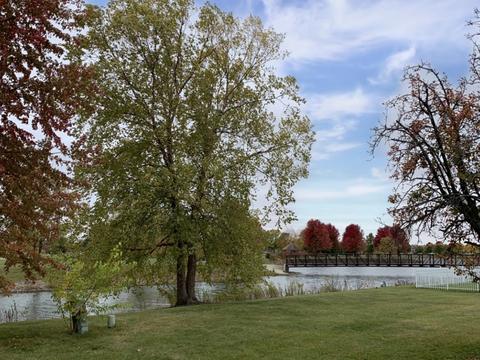 1475 Comanche Dr, Bolingbrook, IL 60490 photo 11