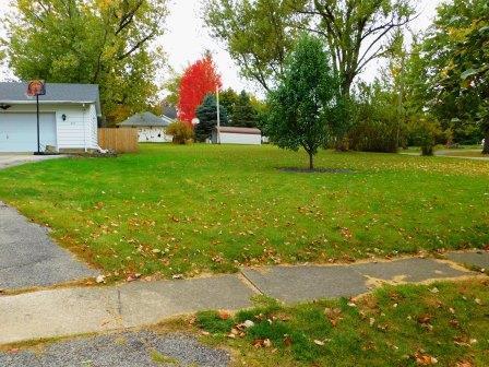 407 E Beech St, Chatsworth, IL 60921 photo 46