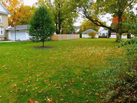 407 E Beech St, Chatsworth, IL 60921 photo 47