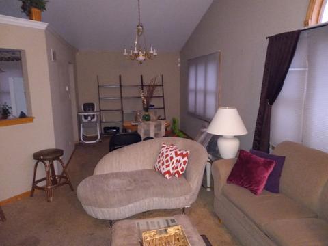 151 Lake Hill Dr, Steger, IL 60475 photo 4
