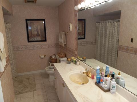 151 Lake Hill Dr, Steger, IL 60475 photo 8