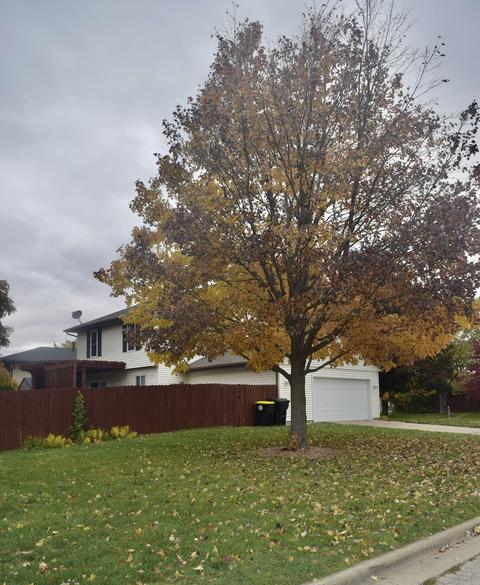 301 N Blair Dr, Normal, IL 61761 photo 6