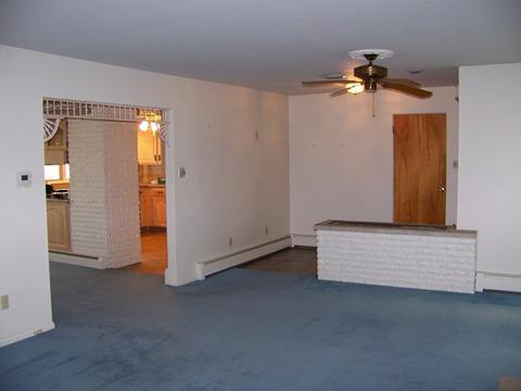 118 Parkview Dr, Forrest, IL 61741 photo 7