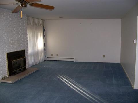 118 Parkview Dr, Forrest, IL 61741 photo 4