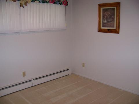 118 Parkview Dr, Forrest, IL 61741 photo 23
