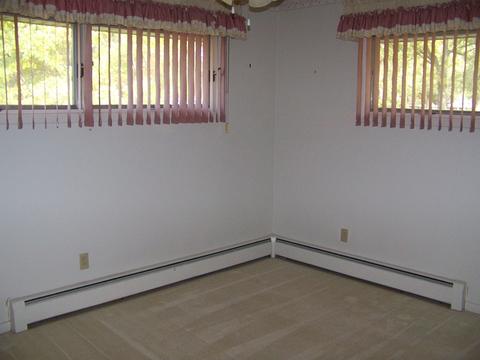 118 Parkview Dr, Forrest, IL 61741 photo 21