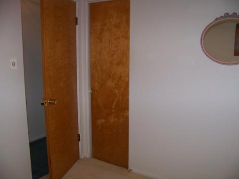 118 Parkview Dr, Forrest, IL 61741 photo 24