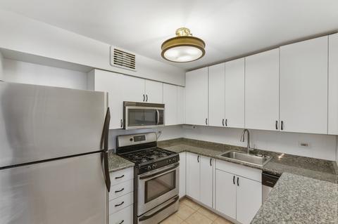 40 E Cedar St #5D, Chicago, IL 60611 photo 6