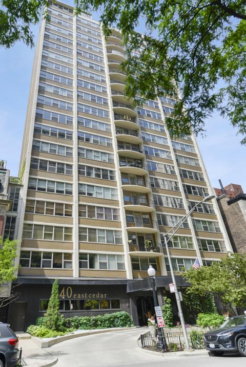 40 E Cedar St #5D, Chicago, IL 60611 photo 1