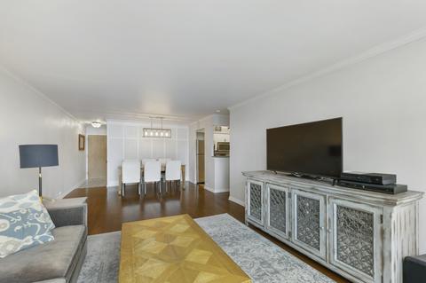 40 E Cedar St #5D, Chicago, IL 60611 photo 3