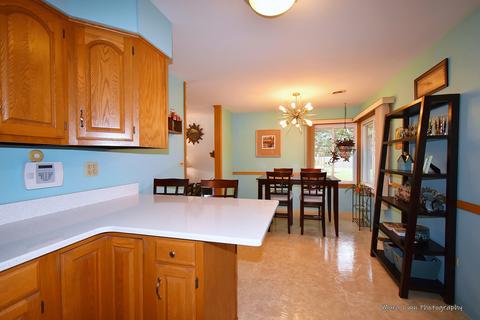 744 Diane Ave, Elgin, IL 60123 photo 12