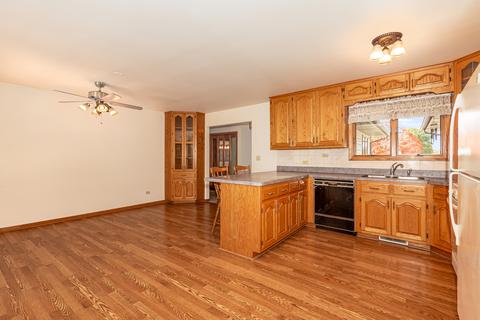 16225 S Peerless Dr, Plainfield, IL 60586 photo 11