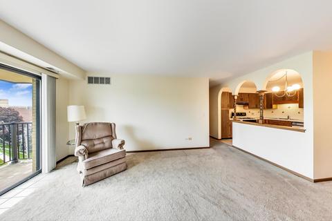 1441 E Thacker St #506, Des Plaines, IL 60016 photo 5