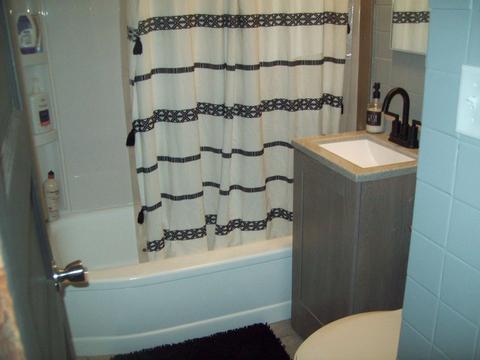 307 Red Oak Rd, Walnut, IL 61376 photo 7
